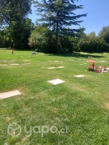 Terreno cementerio