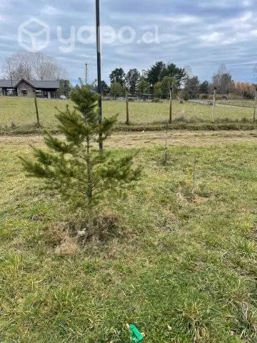Vendo parcela con casa, bodega, dpto, quincho