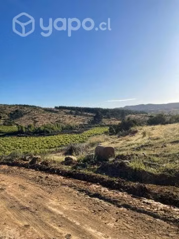 Parcelas en Nirivilo, LA NOVEDAD - Imagen 8