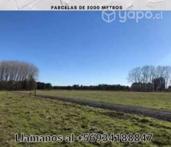 Parcelas en Frutillar Región de los lagos - Imagen 4