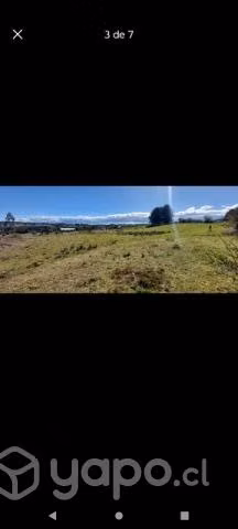 Se vende parcela en Campos de NeoAlerce 5000 mts2