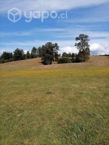 Venta parcelas chancoyan alto valdivia