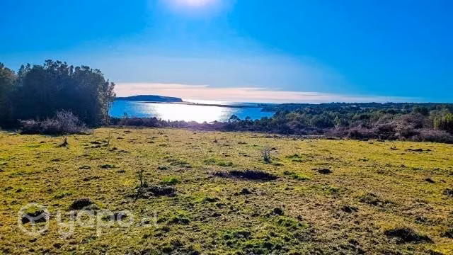 Ventas de parcelas en isla Butachauques - Imagen 4