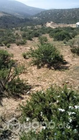 Se vende Loteo en Valle deElqui