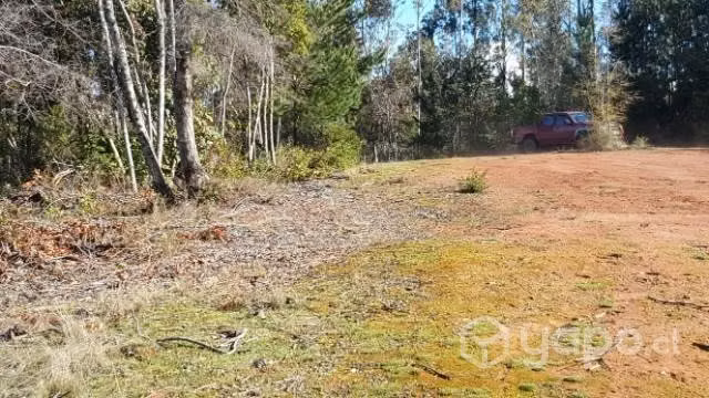 Vendo 5000 m2 de terreno