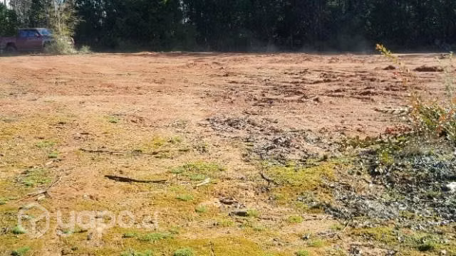 Vendo 5000 m2 de terreno