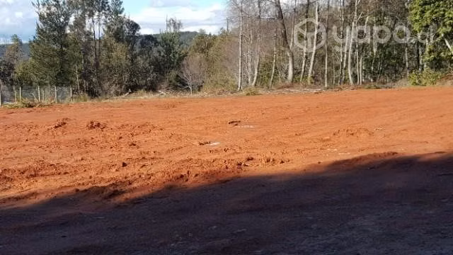 Vendo 5000 m2 de terreno