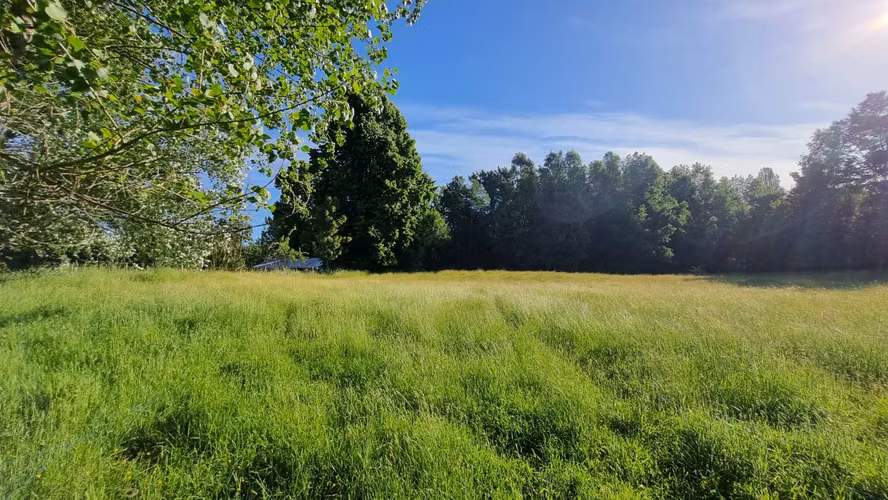 Ultimas Parcelas Chauquen Panguipulli