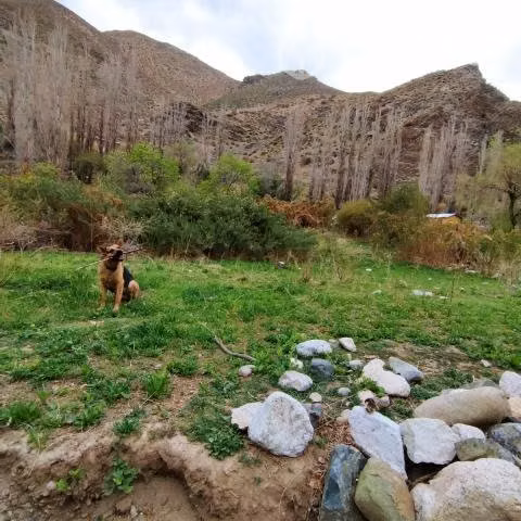Terreno en las ramadas de tulahuen