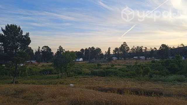 Parcela en Parral - Imagen 8