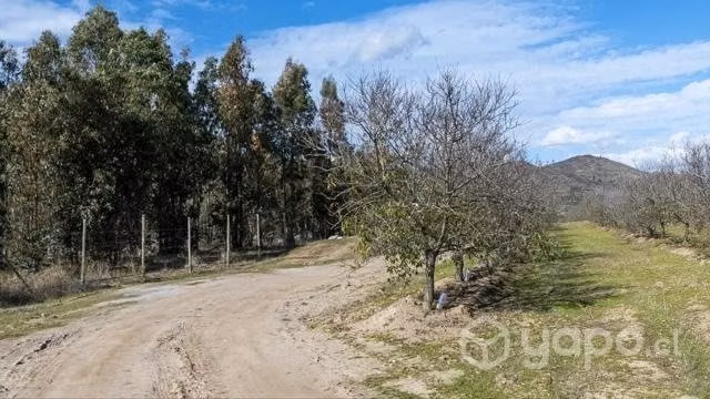 Parcelas 5000m2 Fundo Los Almendros