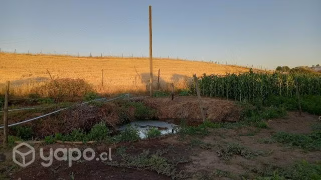 Venta de parcelas de 5000 mts2 en Copihue-Retiro - Imagen 5