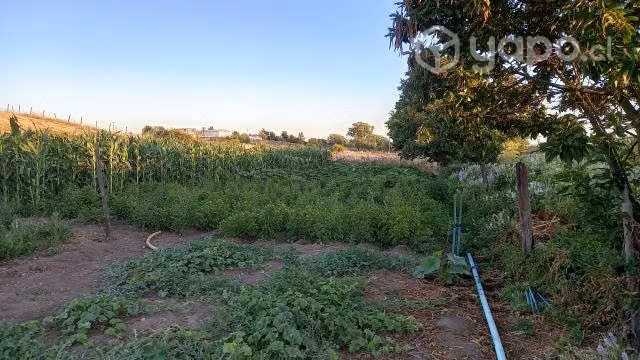 Venta de parcelas de 5000 mts2 en Copihue-Retiro - Imagen 6