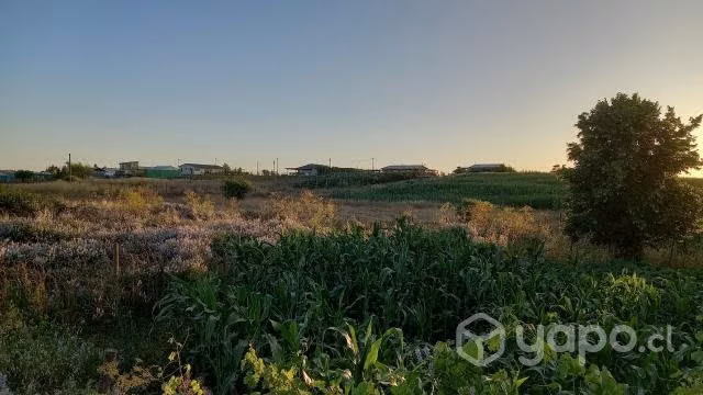 Venta de parcelas de 5000 mts2 en Copihue-Retiro - Imagen 2