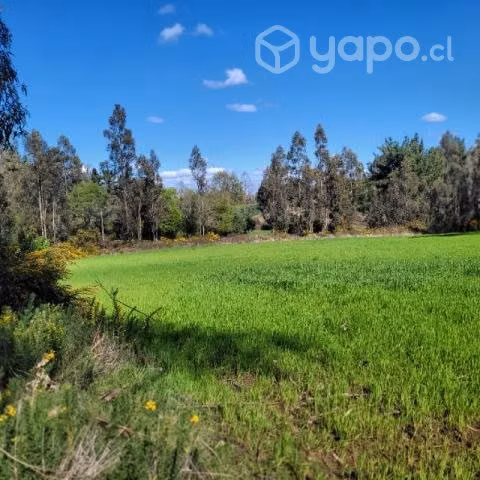 Hectáreas 4.2 - Imagen 13