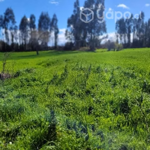 Hectáreas 4.2 - Imagen 10