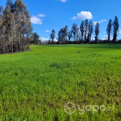 Hectáreas 4.2 - Imagen 14