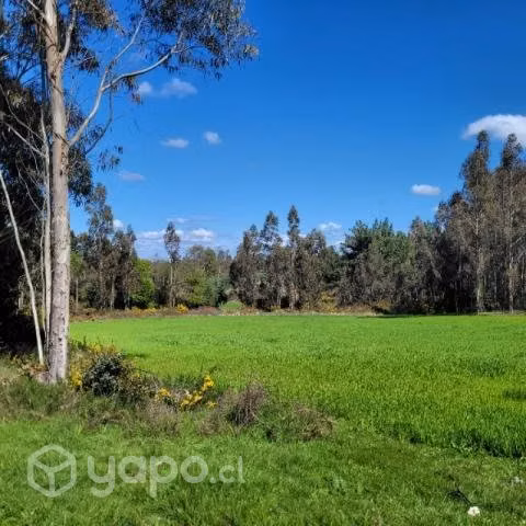 Hectáreas 4.2 - Imagen 9