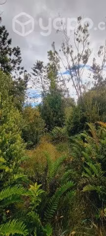 Parcela en pelluco alto - Imagen 4