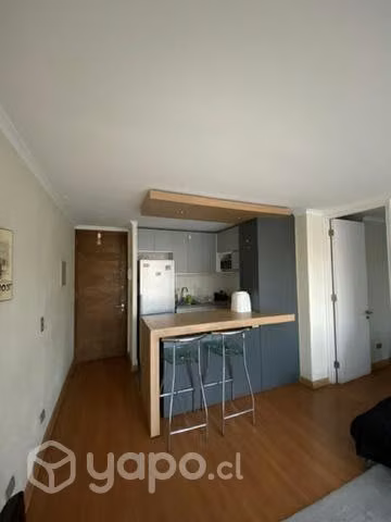 Departamento céntrico Copiapó