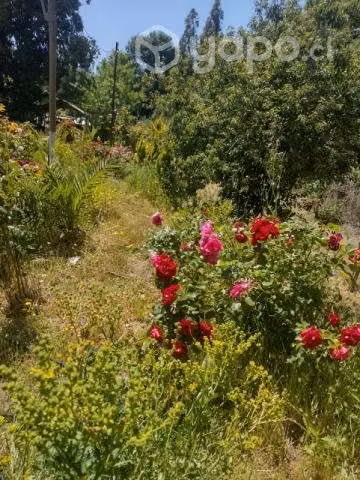 Casa villa tijeral - Imagen 6