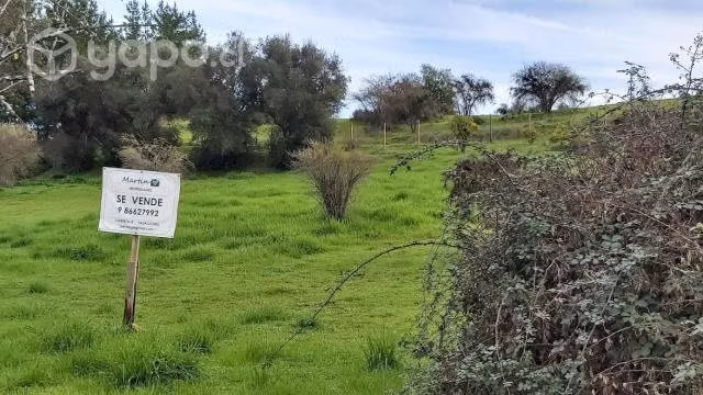 venta terreno en gualleco