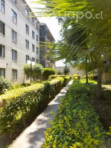 Arriendo pieza a Estudiante de Medicina