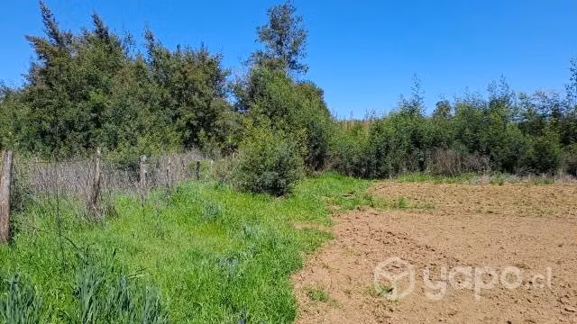 Campo Angol con Casa Grande