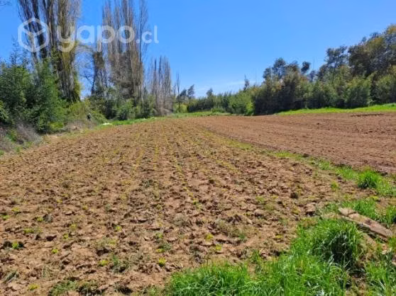 Campo Angol con Casa Grande