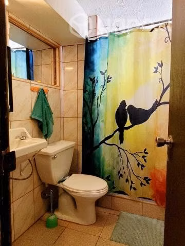 Venta departamento macul 3d 2b