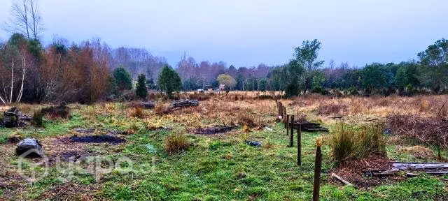 Terreno de 5000 m2 cercanias de Lican Ray