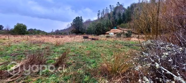 Terreno de 5000 m2 cercanias de Lican Ray