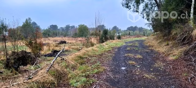 Terreno de 5000 m2 cercanias de Lican Ray