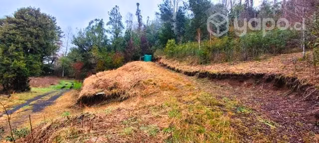 Terreno de 5000 m2 cercanias de Lican Ray