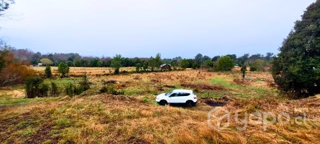 Terreno de 5000 m2 cercanias de Lican Ray