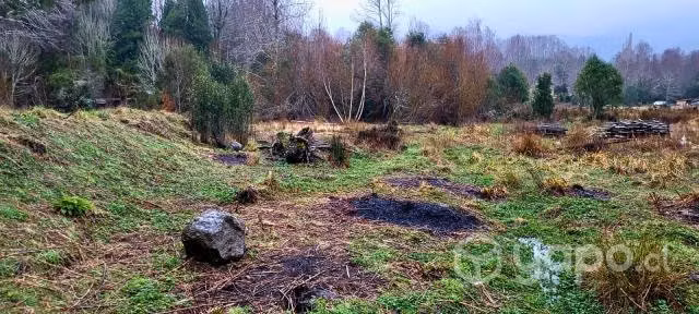 Terreno de 5000 m2 cercanias de Lican Ray