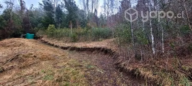 Terreno de 5000 m2 cercanias de Lican Ray