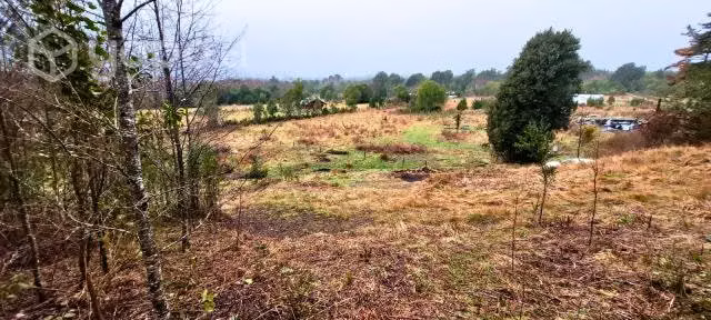 Terreno de 5000 m2 cercanias de Lican Ray