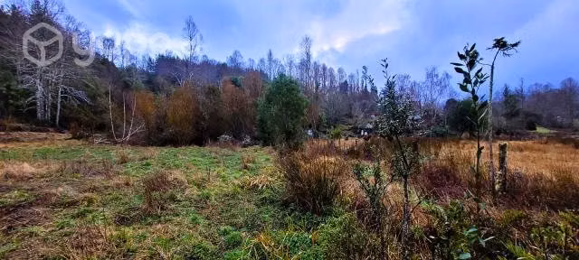 Terreno de 5000 m2 cercanias de Lican Ray