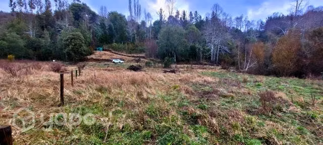Terreno de 5000 m2 cercanias de Lican Ray