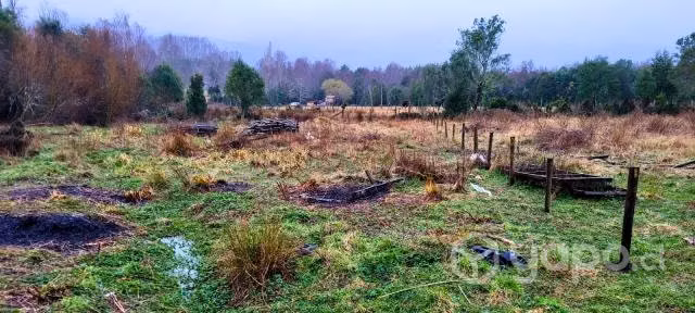 Terreno de 5000 m2 cercanias de Lican Ray