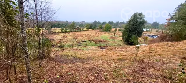 Terreno de 5000 m2 cercanias de Lican Ray