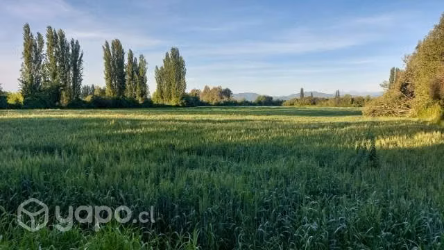 Venta de terreno