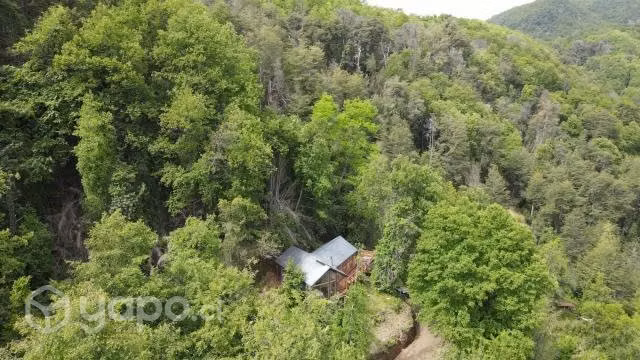 Chiquillanes Bosque y Montaña