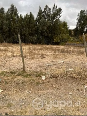 Gran venta de lotes urbanos de 625 m2