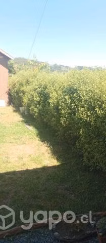 Se vende casa en futrono, excelente propiedad - Imagen 15