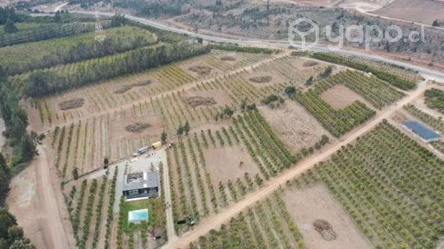 Excelentes Parcelas Agrícolas - Imagen 2