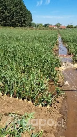 Terreno 2 hectáreas sector la calor con agua