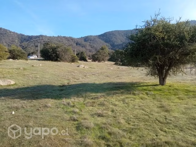 Parcela en pilares verdes
