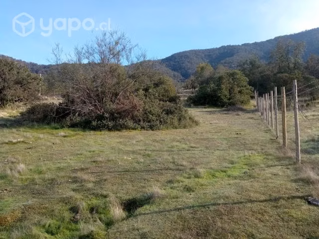 Parcela en pilares verdes